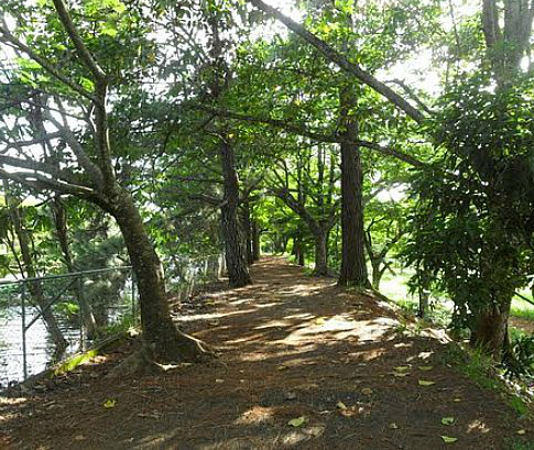 Parque do Sabiá