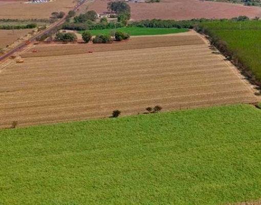 Enquanto o país tem previsão de queda, o estado, depois de cinco anos de estagnação, espera crescimento de 3% na temporada 2019/2020, chegando a 65 milhões de toneladas do produto.