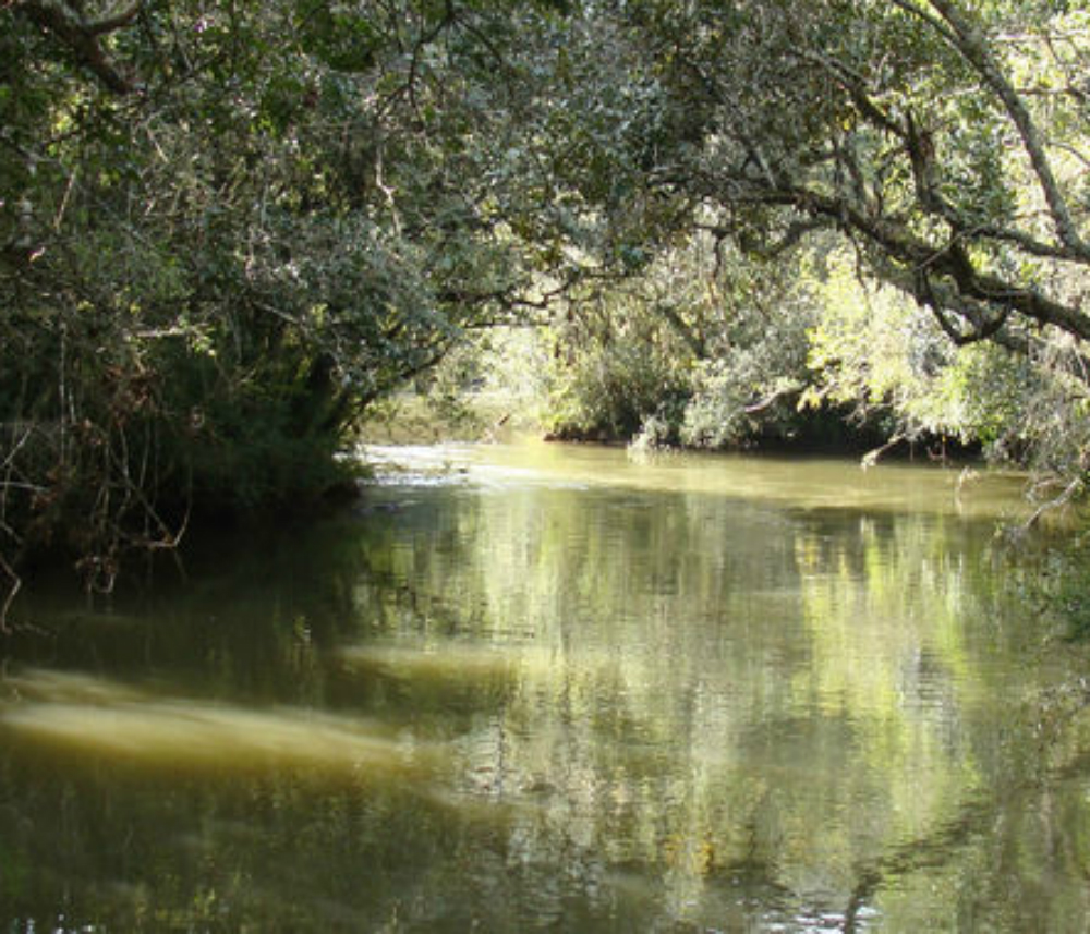 A unidade de conservação tem por objetivo conservar a biodiversidade, a qualidade ambiental e melhorar a qualidade de vida da população  (Divulgação)