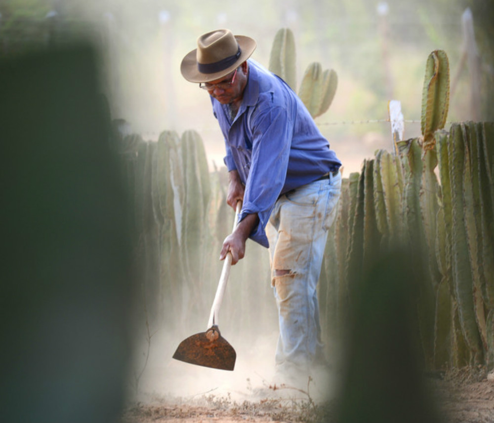 Agricultores familiares dos 168 municípios da área mineira da Sudene podem participar do programa (Foto: Manoel Marques/Imprensa MG)