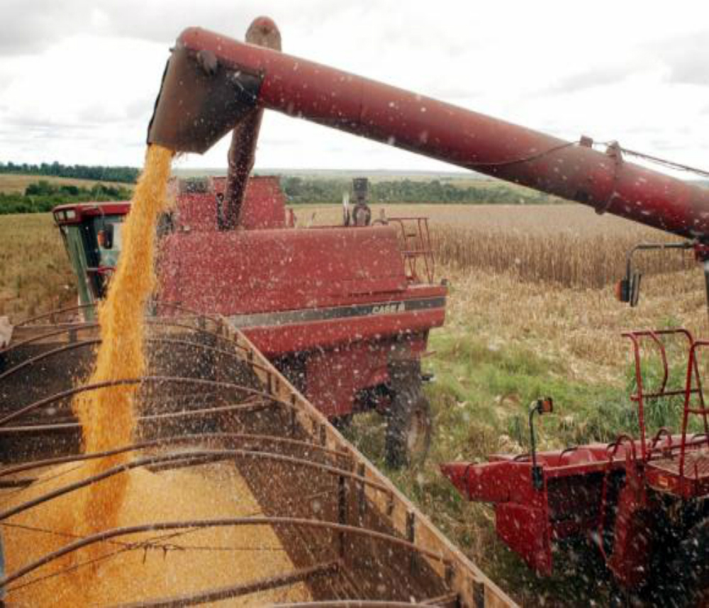 De acordo com relatório da FAO e OCDE, a produção de soja no Brasil deve crescer a 2,6% por ano (Imagem de arquivo/Agência Brasil)