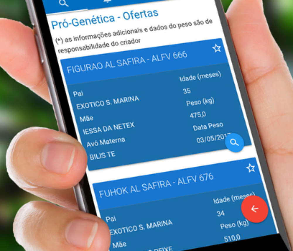 Ao acessar o aplicativo, o comprador pode selecionar a raça zebuína do animal que ele procura e até delimitar a região (Divulgação)