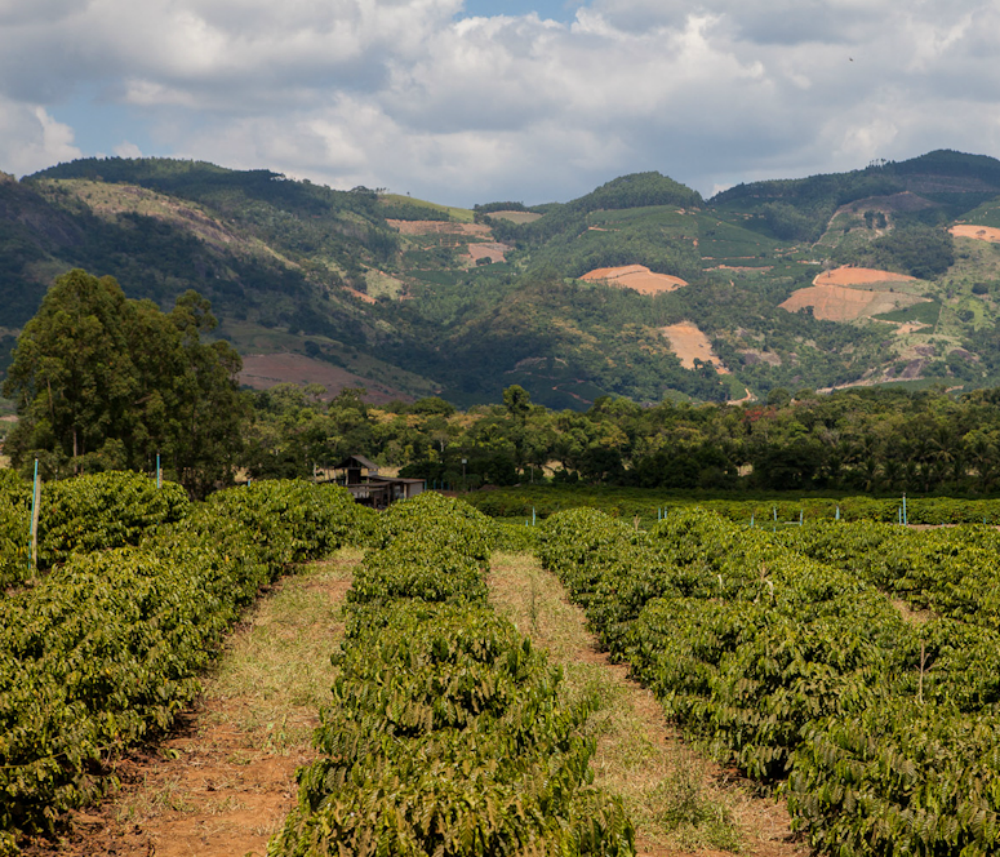 Divulgação/Agência Minas