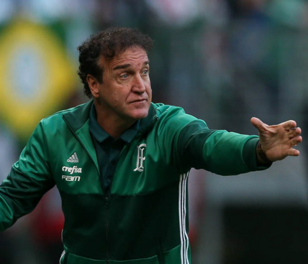 Técnico Palmeiras Técnico Palmeiras
